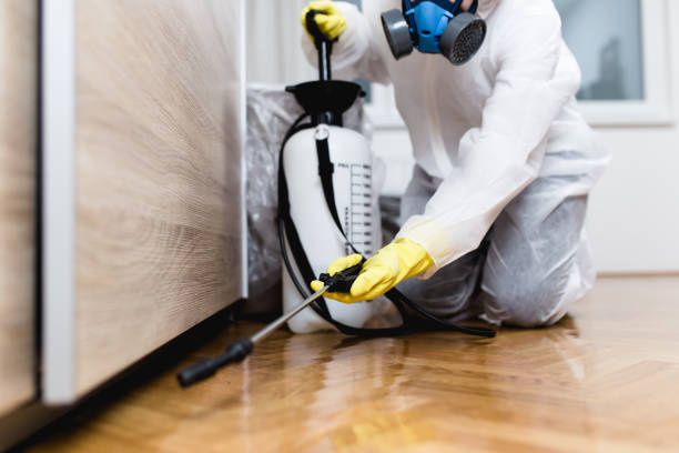 Best Emergency Pest Control  in Laurence Harbor, NJ