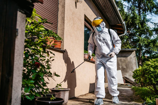 Best Flea Control Services  in Laurence Harbor, NJ