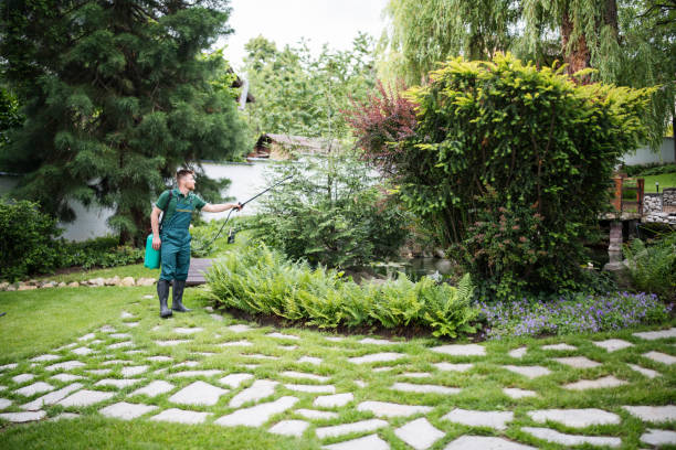Best Wasp Removal Services  in Laurence Harbor, NJ
