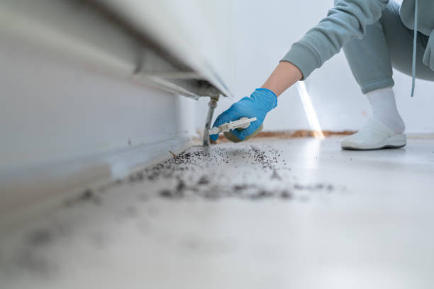 Best Rat Extermination Near Me  in Laurence Harbor, NJ